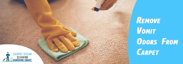 Remove Vomit Odors From Carpet