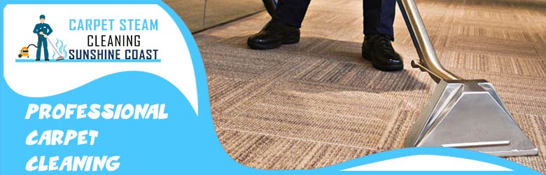 Professional Carpet Cleaning