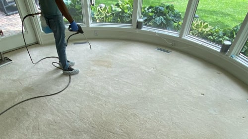 Carpet Sanitization Sunshine Coast