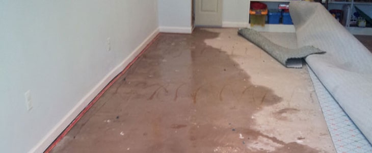 Flood Damage Restoration Service